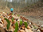 DSCN89366