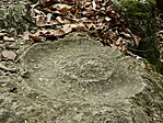 DSCN89370