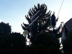 20210301_161643