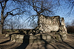 DSC02936
