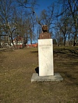 IMG_20210303_114621.jpg