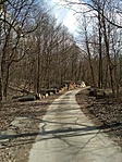 IMG_20210315_115308.jpg
