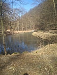 IMG_20210321_133354.jpg