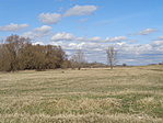 DSC09910