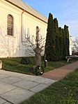 IMG_4461