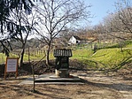 IMG_20210301_144604