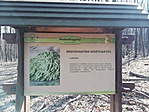IMG_20210306_123309