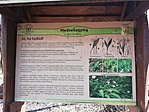 IMG_20210306_125420