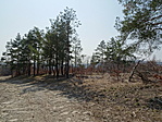 DSC04413