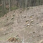 IMG_20210328_100149