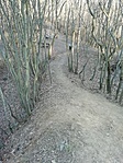 IMG_20210306_161000