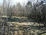 IMG_20210308_094309
