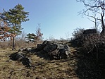 IMG_20210308_110136