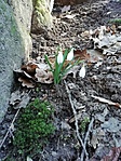 IMG_20210308_105333