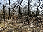 IMG_20210308_112913