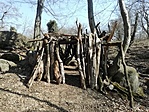 IMG_20210308_113811