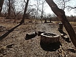 IMG_20210308_113751