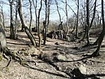 IMG_20210308_113735