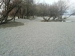 IMG_20210319_172618