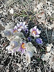 IMG_20210326_145806