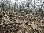 IMG_20210328_095956