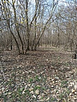 IMG_20210313_134432