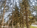 IMG_20210304_132733