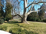 Fúzérradvány kastélypark