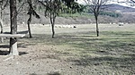 IMG_20210315_125959