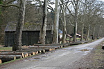 IMG_2567