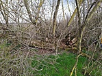 IMG_20210327_162258