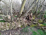 IMG_20210327_162309