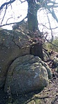 szikla