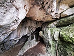 IMG_20210320_120509