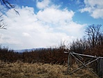 IMG_20210320_130609