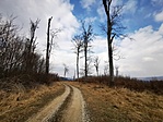 IMG_20210320_130615