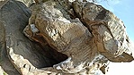 IMG_20210313_132116