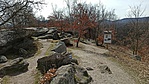 IMG_20210313_130538