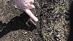 IMG_20210315_115639