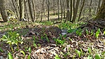 IMG_20210315_111736