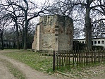 P1230990