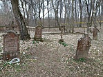IMG_20210320_155513