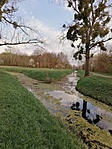 IMG_20210403_170340
