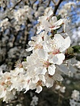 IMG_20210403_170716