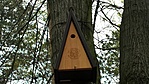 WP_20210419_13_41_47_Pro