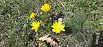 20210404_105518.jpg
