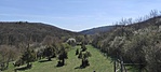 IMG_20210424_133949