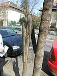 DSCN8284