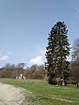 IMG_20210402_113155
