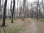 IMG_20210402_153945